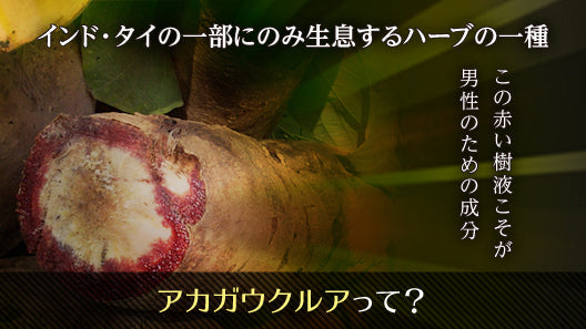 アカガウクルア ( ソフォン ) サプリメント 赤ガウクルアGOLD 1袋 180粒 約3ヶ月