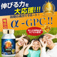 【3人シェア買いでお得】アルファGPC サプリ alphaGPC 《福袋 割引価格３個+１個無料》