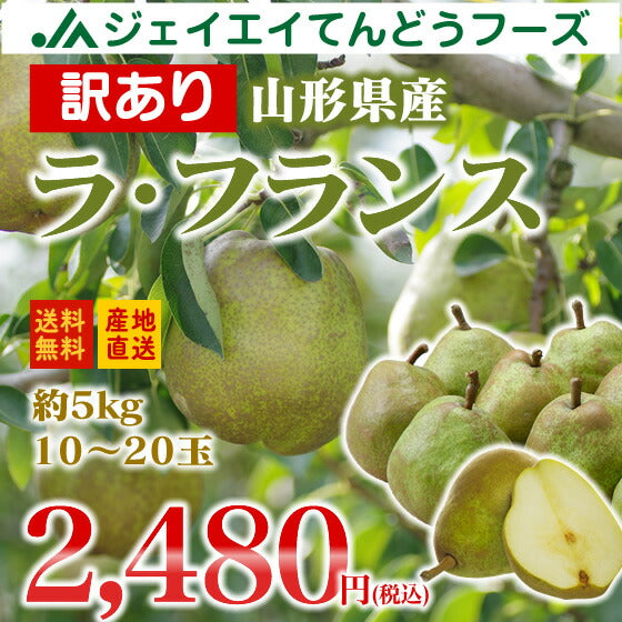 【訳あり】山形県産洋梨ラフランス約5kg(10〜20玉)【送料無料】※九州・沖縄・一部離島を除く