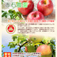 【フルーツ りんご 青森りんご 送料無料】青森県弘前市 赤石りんご園有袋栽培ふじ 2.5kg（7玉～10玉）収穫時の鮮度を保つＣＡ貯蔵りんご【リンゴ 果物 贈答品 ギフト】