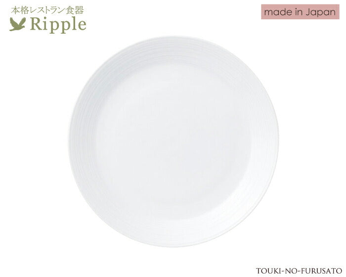 リップル８吋ミート 直径21.3cm 本格レストラン食器 白い食器 和食器 洋食器 中華食器 丸皿 大皿   陶器のふる里  stockヤ