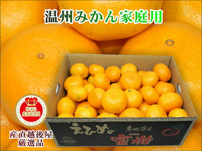 【フルーツ みかん 温州みかん】愛媛県宇和島市 吉田町吉田みかん農家 土山みずき温州みかん 甘味の強い小粒 2kg(2ssサイズ）みかん農家から産地直送送料無料【果物 贈答品 ギフト】