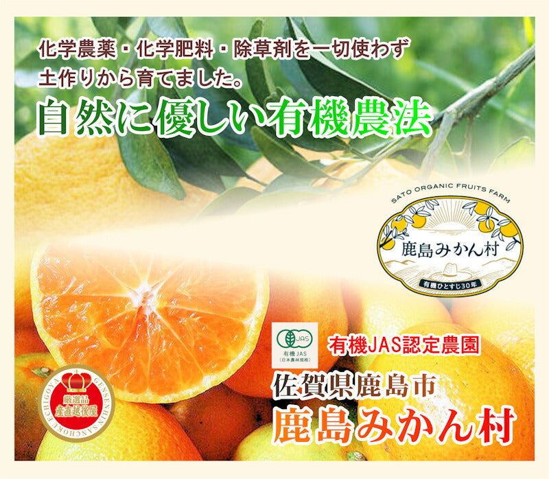 【フルーツ レモン 有機マイヤーレモン】佐賀県 鹿島市 有機みかん佐藤農場有機転換マイヤーレモン 5kg採りたてを農園から産地直送 送料無料【ミカン 果実 ギフト 無農薬栽培】