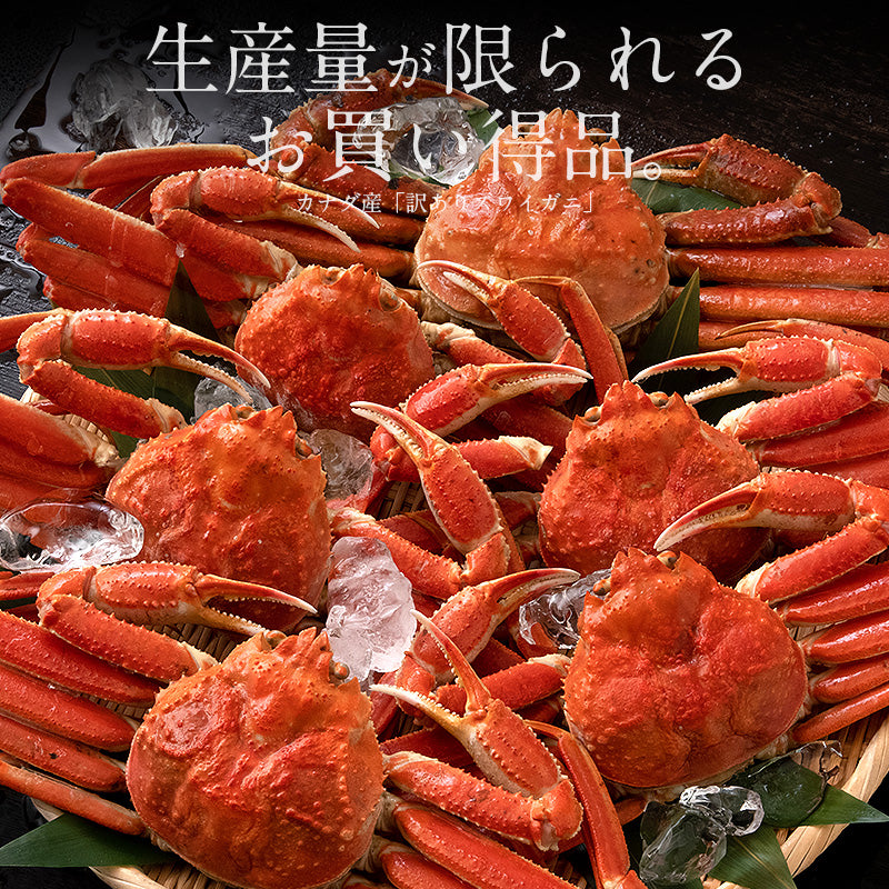 3kg 訳ありズワイガニ姿