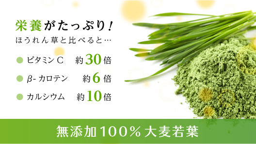 青汁 大麦若葉 100％ 粉末 150g 約75杯分