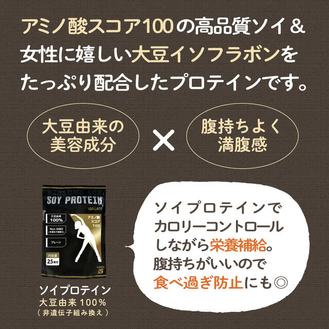 大豆 ソイ プロテイン プレーン 無添加 500g