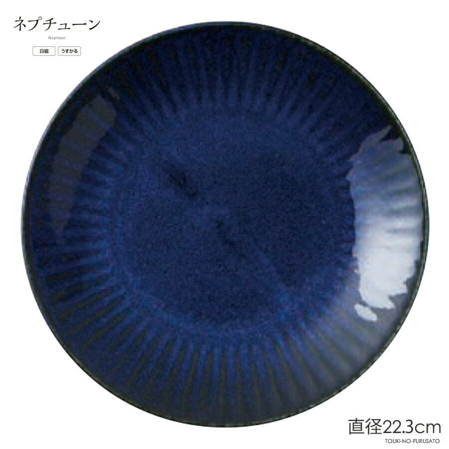 ネプチューンRK70皿 直径22.3cm 紺色 ネイビー 軽量 うすかる 丸皿 大皿 メイン皿 プレート皿 プレート料理 食器 国産 パーティー皿  陶器のふる里  trys亜