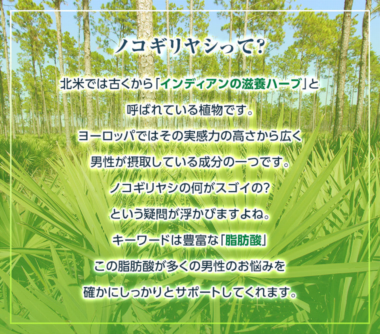 ノコギリヤシ 亜鉛 サプリ ノコギリヤシ亜鉛DX 1袋 100粒 約100日分