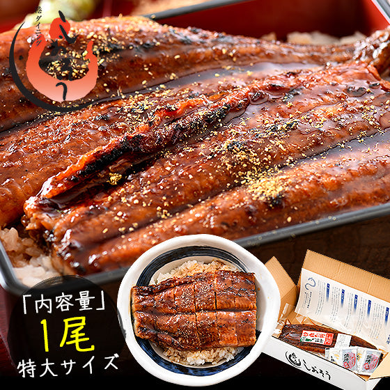 約200g×1尾 うなぎ 蒲焼き 無頭 鹿児島 国産 特大サイズ