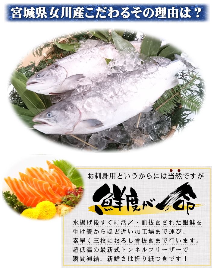 【3人シェア買いでお得】脂の乗った三陸産お刺身銀鮭とイクラの親子丼セット たっぷり3～5人前 サーモンと鱒子いくらのはらこ飯 ギフト お中元 父の日 母の日 送料無料