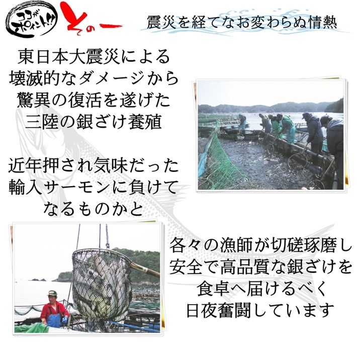 【3人シェア買いでお得】脂の乗った三陸産お刺身銀鮭とイクラの親子丼セット たっぷり3～5人前 サーモンと鱒子いくらのはらこ飯 ギフト お中元 父の日 母の日 送料無料