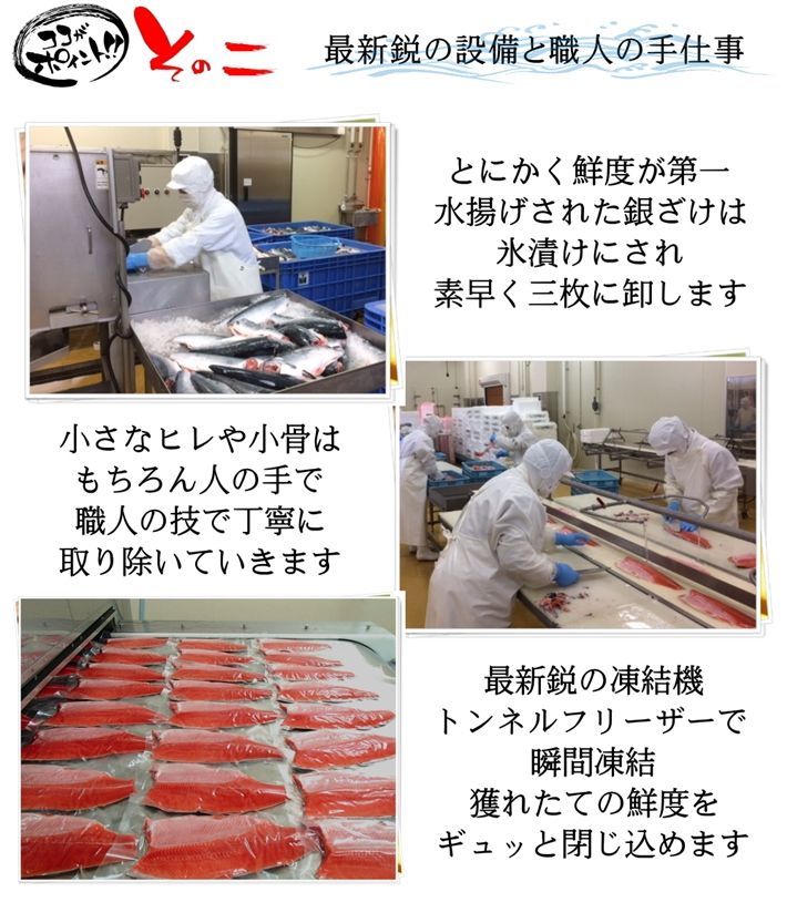 【3人シェア買いでお得】脂の乗った三陸産お刺身銀鮭とイクラの親子丼セット たっぷり3～5人前 サーモンと鱒子いくらのはらこ飯 ギフト お中元 父の日 母の日 送料無料