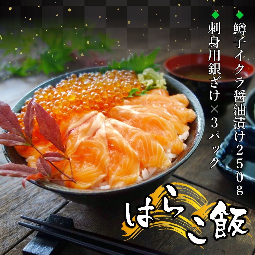【3人シェア買いでお得】脂の乗った三陸産お刺身銀鮭とイクラの親子丼セット たっぷり3～5人前 サーモンと鱒子いくらのはらこ飯 ギフト お中元 父の日 母の日 送料無料