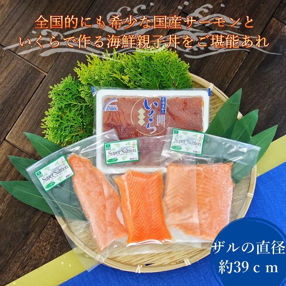 【3人シェア買いでお得】脂の乗った三陸産お刺身銀鮭とイクラの親子丼セット たっぷり3～5人前 サーモンと鱒子いくらのはらこ飯 ギフト お中元 父の日 母の日 送料無料