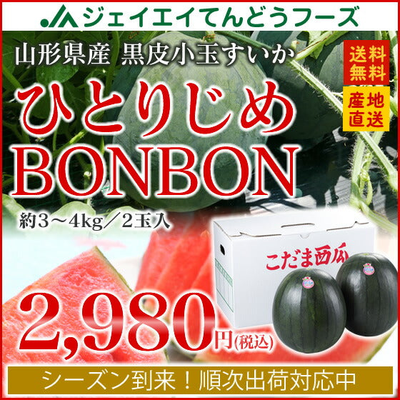 すいか 送料無料 山形県産黒皮小玉すいか 2玉入【送料無料】※一部地域は別途送料 果物 フルーツ【A品】【お中元】【ギフト】【のし対応】e2