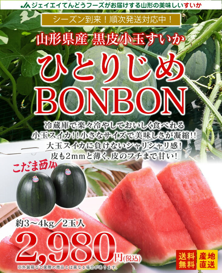 すいか 送料無料 山形県産黒皮小玉すいか 2玉入【送料無料】※一部地域は別途送料 果物 フルーツ【A品】【お中元】【ギフト】【のし対応】e2