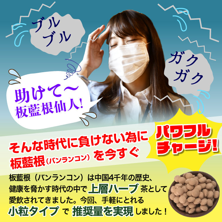 板藍根 ばんらんこん サプリ エキス 粒