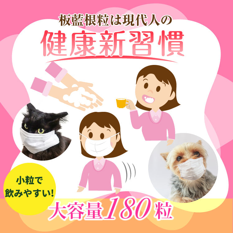 板藍根 ばんらんこん サプリ エキス 粒