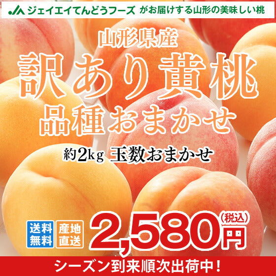 桃 訳あり 山形県産　黄桃品種おまかせ　約2kg(5玉〜10玉) ※一部地域は別途送料 柔らかい桃 硬い桃　果物　フルーツ 黄金桃　送料無料【f16】