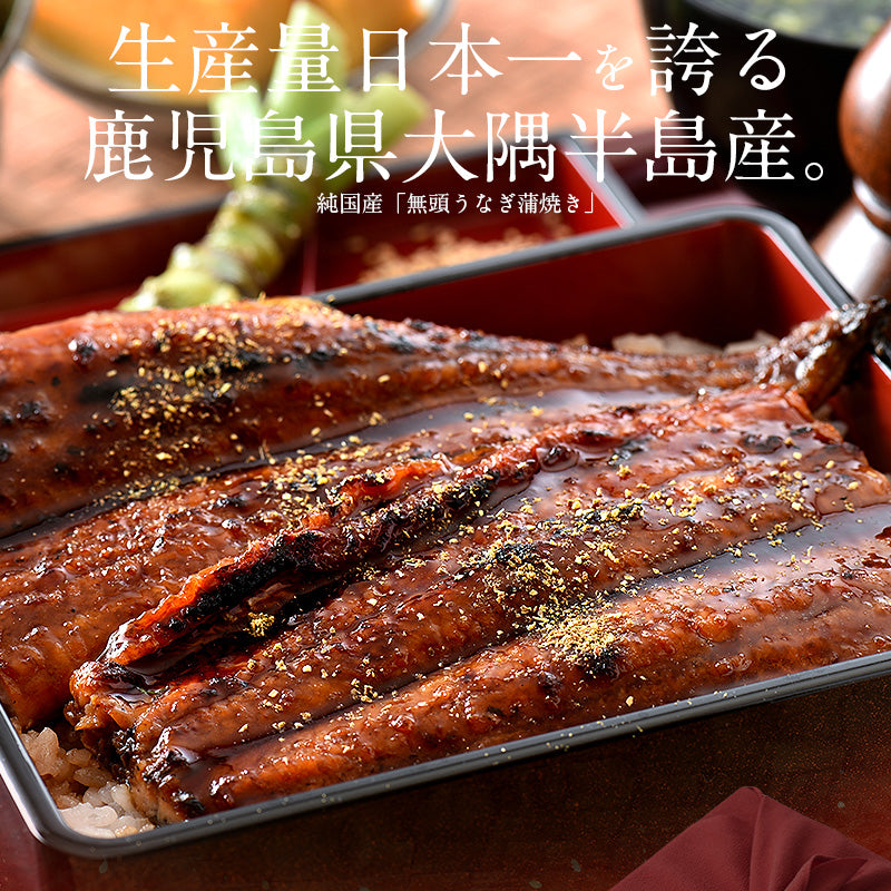 約200g×1尾 うなぎ 蒲焼き 無頭 鹿児島 国産 特大サイズ