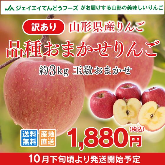 訳あり りんご 山形県産 品種おまかせ 約3kg 送料無料※一部地域は別途送料追加
