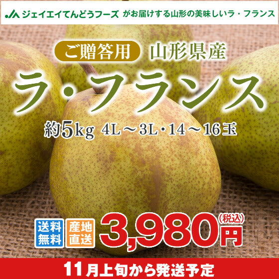 果物 ギフト 送料無料 山形県産洋梨ラフランス約5kg(3L-4L・14-16玉入り) のし対応 お歳暮 ※九州・沖縄・一部離島を除く n16