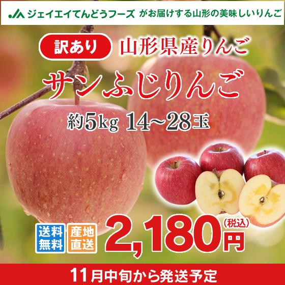 訳あり りんご 5kg 送料無料 山形県産 りんご 約5kg(14〜28玉) ※一部地域は別途送料追加 予約商品 フルーツ 果物 早生ふじ サンふじ 果物 ap12
