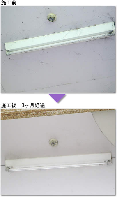 プロケミ クモルスストレート 1kg 希釈せずに使用できるストレートタイプ クモが嫌がる！蜘蛛の巣を張らせない！業務用