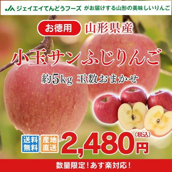 お徳用 小玉りんご 5kg 送料無料 山形県産 サンふじりんご (玉数おまかせ) バラ詰め ※一部地域は別途送料追加 フルーツ 果物 サンふじ 果物 ap20