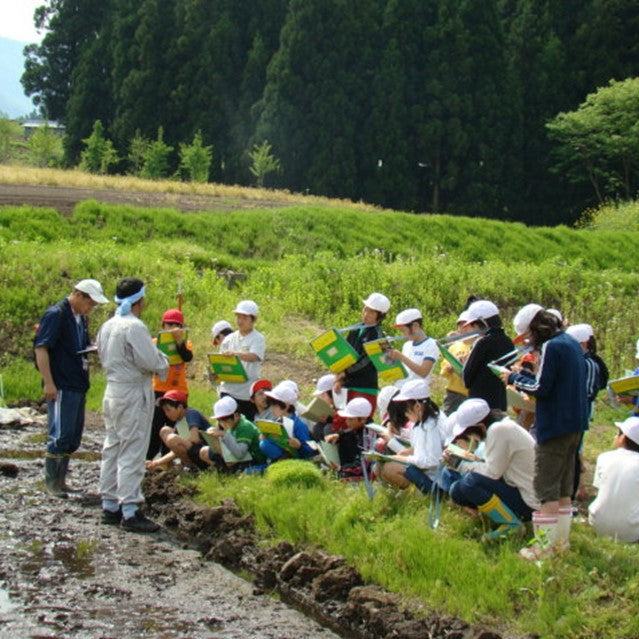切り餅 特別栽培米 もちひかり使用 長野県産 野沢温泉村産 10kg (20袋) 非常食 野沢の餅 餅 もち 切りもち 切りもち 送料込み