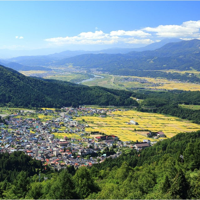 切り餅 特別栽培米 もちひかり使用 長野県産 野沢温泉村産 1.5kg (3袋) 非常食 野沢の餅 餅 もち 切りもち  切りもち 送料込み