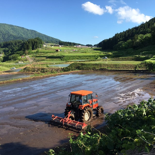 切り餅 特別栽培米 もちひかり使用 長野県産 野沢温泉村産 5kg (10袋) 非常食 野沢の餅 餅 もち 切りもち  切りもち 送料込み