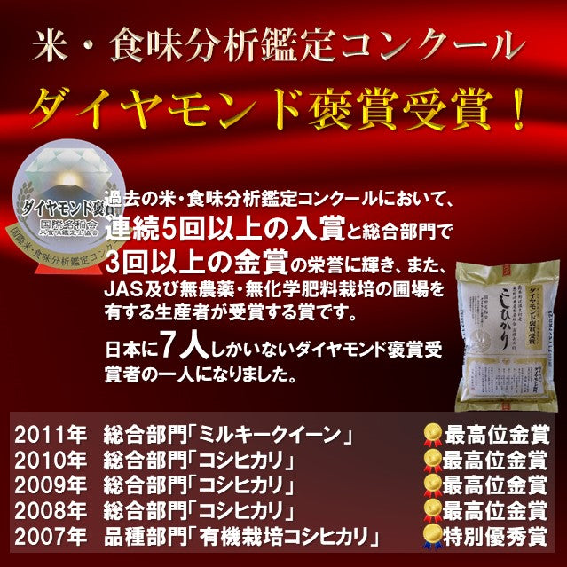 切り餅 特別栽培米 もちひかり使用 長野県産 野沢温泉村産 5kg (10袋) 非常食 野沢の餅 餅 もち 切りもち  切りもち 送料込み