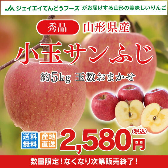 秀品 小玉りんご 5kg 送料無料 山形県産 サンふじりんご (玉数おまかせ) バラ詰め ※一部地域は別途送料追加 フルーツ 果物 サンふじ 果物 ap22