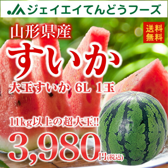 お中元 送料無料 すいか おもいっきり特大 山形県産すいか6L／1箱1玉いり※一部地域は別途送料　のし対応 e3