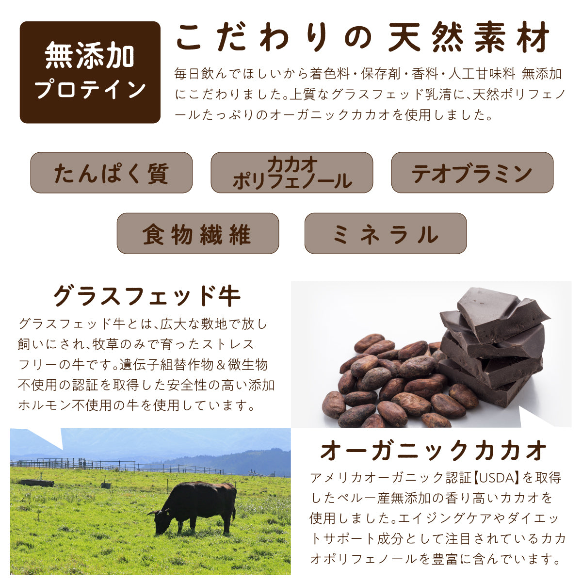 ホエイプロテイン チョコ ( ココア ) 1kg グラスフェッド(USDA認証取得原料)