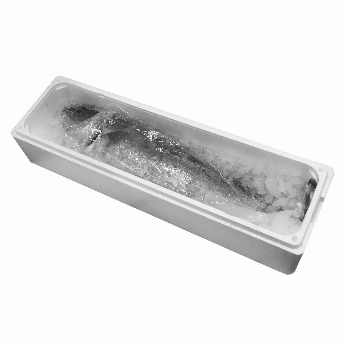 鹿児島産ぶり・冷蔵 1尾（内臓加工済み）