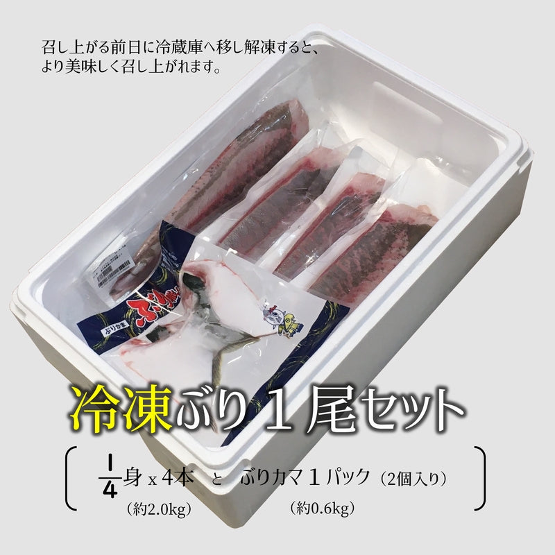 鹿児島産ぶり・冷凍 1尾セット（1/4身ｘ4本・ぶりカマ2個入りｘ1パック）