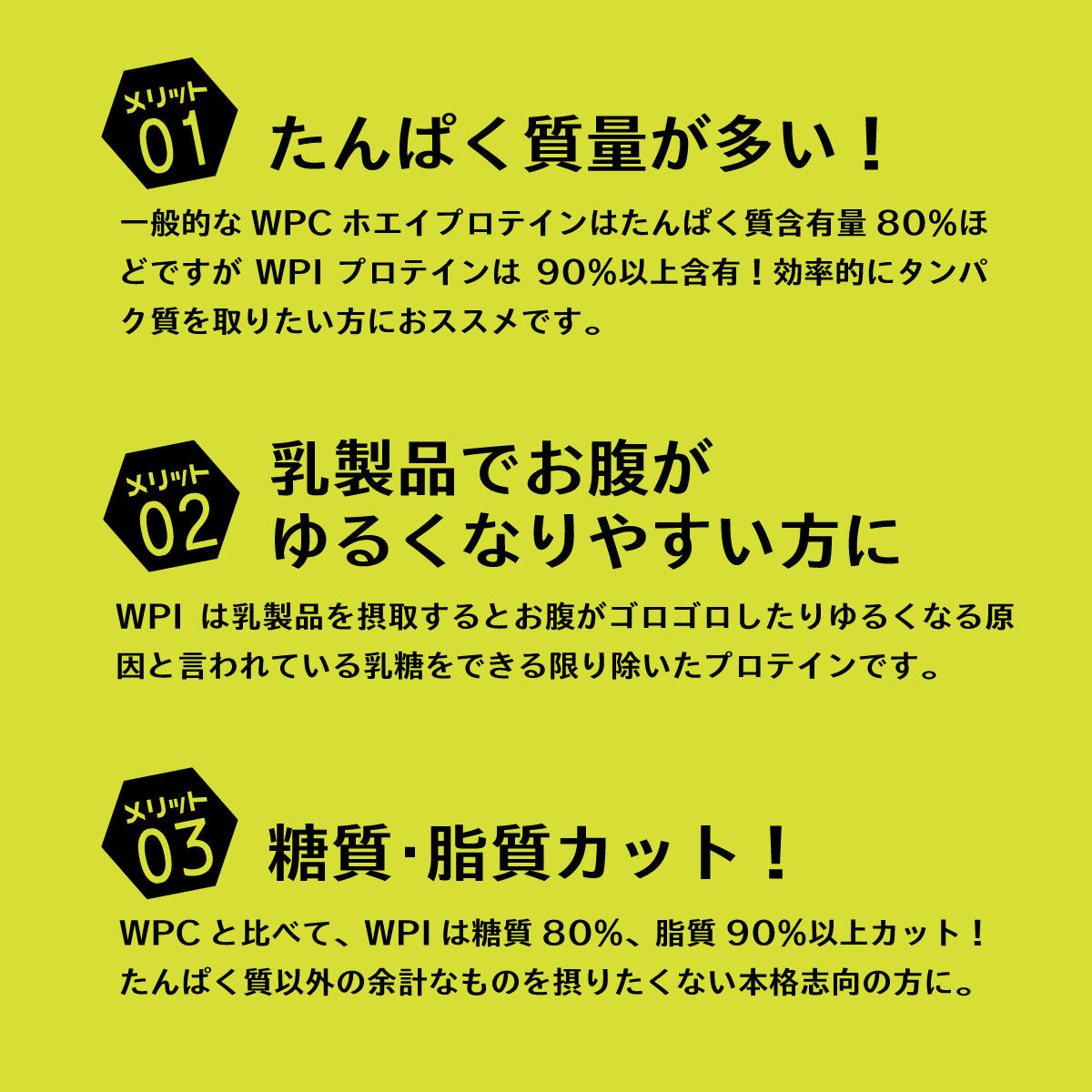 ホエイ プロテイン アイソレート WPI 500g 無添加