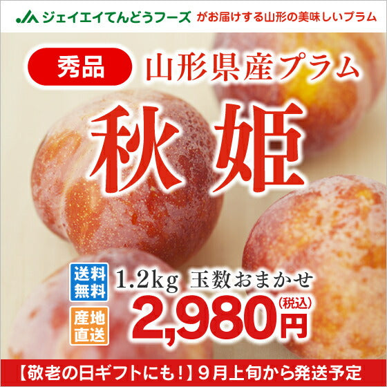 送料無料 果物 フルーツ すもも プラム 山形県産 秋姫約1.2kg(6〜10玉) ※一部地域は別途送料追加 秀品 ギフト プレゼント JA共選品