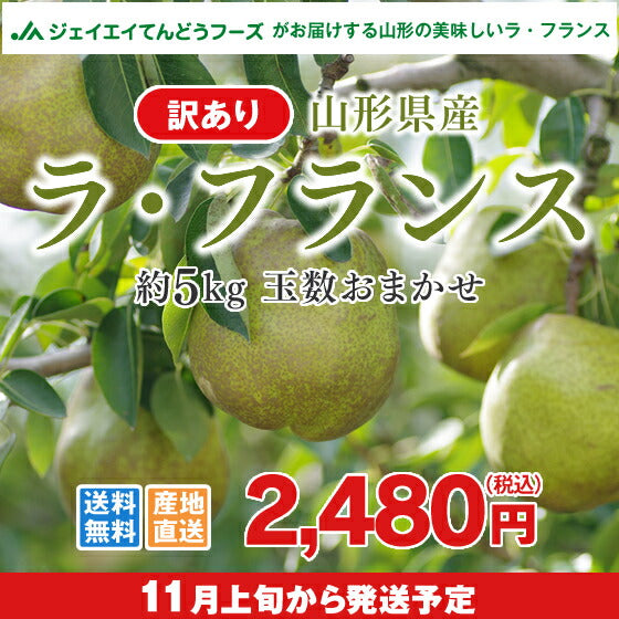 訳あり 果物 送料無料 山形県産洋梨ラフランス 約5kg ※一部地域は別途送料追加 n11