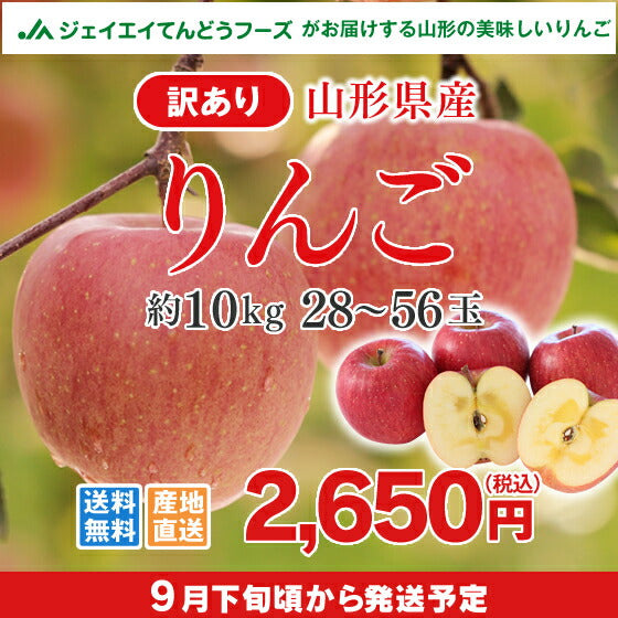 訳あり りんご 10kg 送料無料 山形県産 りんご 約10kg(28〜56玉) ※一部地域は別途送料追加 フルーツ 果物 サンふじ ap13