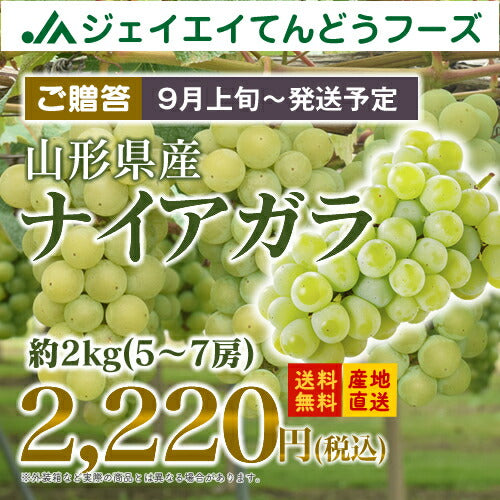ぶどう 送料無料 秀品 山形県産ナイアガラ約2kg(5〜7房)※一部地域は別途送料