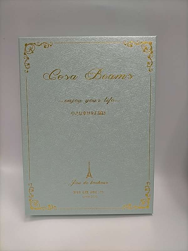 cesa beams カトラリー カトラリーセット【ホワイトシルバー】 結婚祝い ギフトセット オリジナル5本 箱入れ スプーン フォーク ナイフ コーヒースプーン ケーキフォーク(/e祝箱白銀中5/)