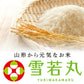 米 10kg 送料無料 令和3年産 山形県産 雪若丸10kg(5kg×2) 精米 ※一部地域は別途送料追加 お米 コメ ryy1003