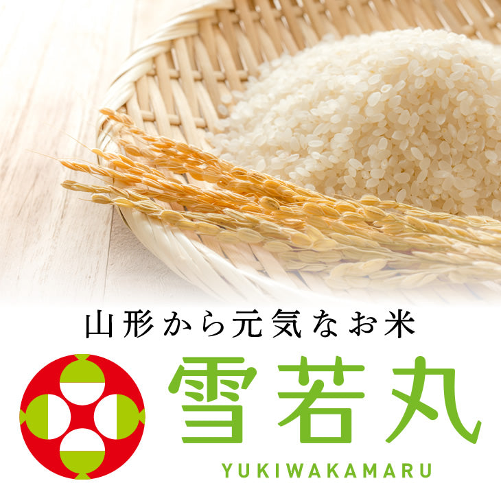 【超得ハイパーSALE】米 10kg 令和4年産 山形県産 雪若丸10kg(5kg×2)【最安値に挑戦】