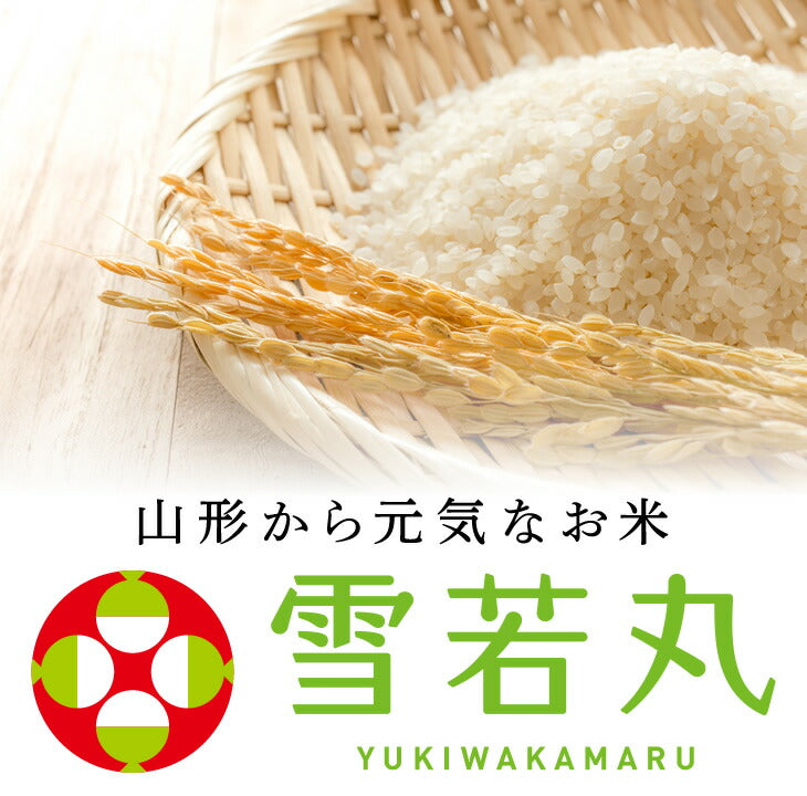 【お試し★10%OFF】米 5kg 送料無料 令和元年産 山形県産 雪若丸5kg 精米 ※一部地域は別途送料追加 お米 コメ ryy0501