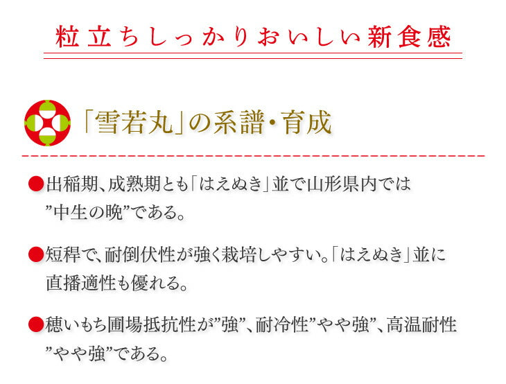 【お試し★10%OFF】米 5kg 送料無料 令和元年産 山形県産 雪若丸5kg 精米 ※一部地域は別途送料追加 お米 コメ ryy0501