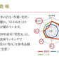 米 10kg 送料無料 令和元年産 山形県産 つや姫＆雪若丸精米各5kgセット 精米 ※一部地域は別途送料追加 お米 コメ xcrak