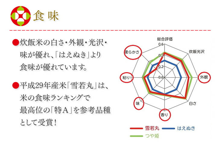 【お試し★10%OFF】米 5kg 送料無料 令和元年産 山形県産 雪若丸5kg 精米 ※一部地域は別途送料追加 お米 コメ ryy0501